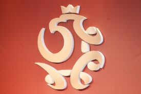 PZPN logo
