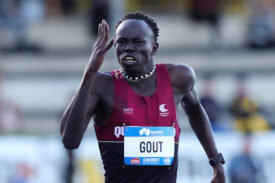 Gout Gout