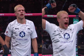 Wikłacz UFC