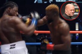 Zuffa Boxing