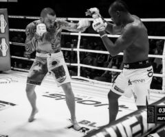 Jay Silva vs Michał Materla