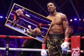 Anthony Joshua i Kristian Prenga