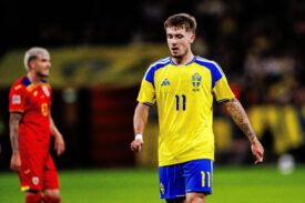 Patrik Walemark