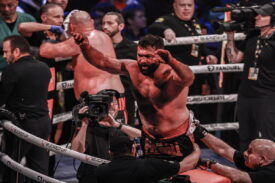 Andrei Arlovski