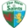 The New Saints