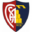 Montevarchi Calcio
